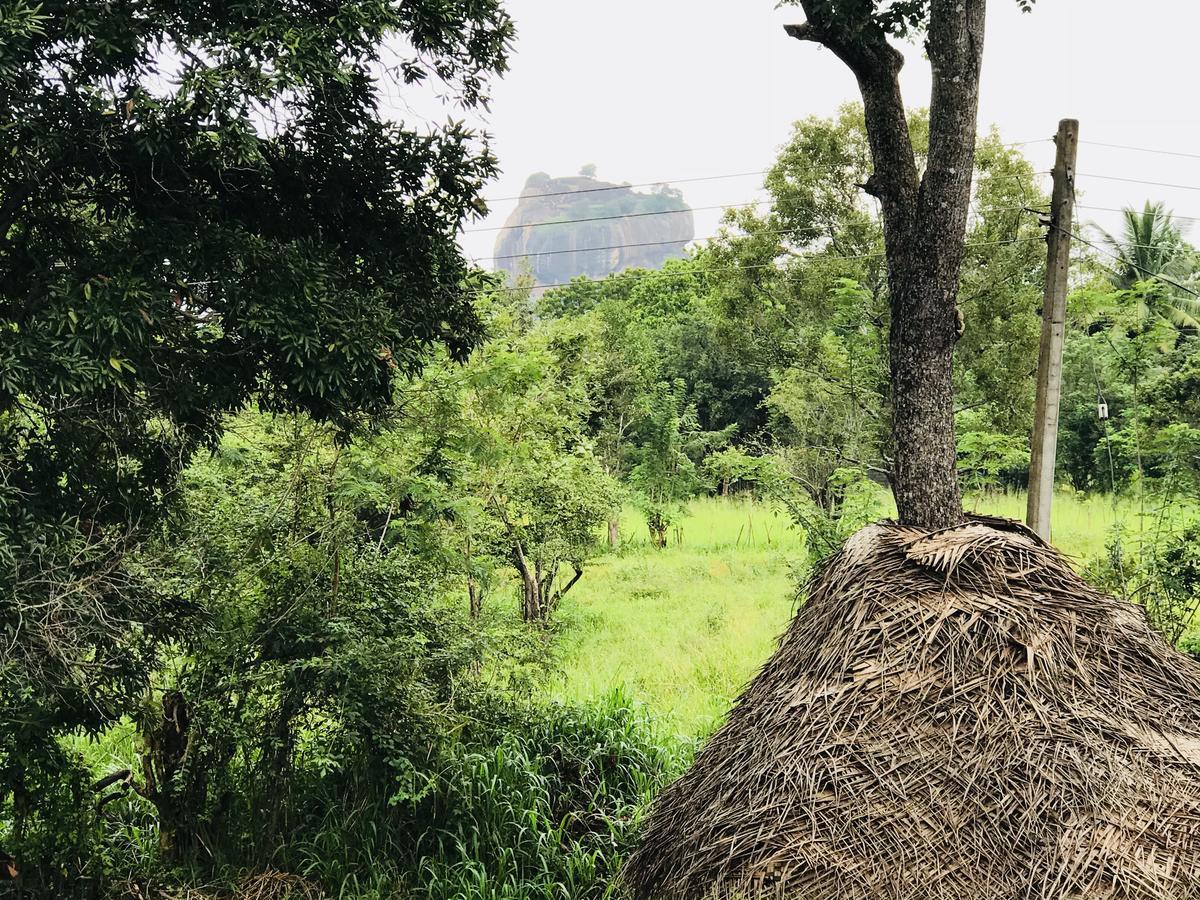 Sigiriya Rock Hide 호텔 외부 사진