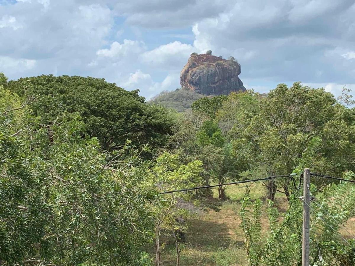 Sigiriya Rock Hide 호텔 외부 사진