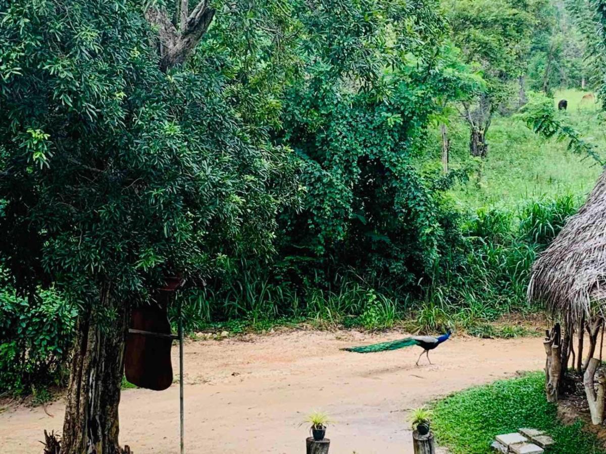 Sigiriya Rock Hide 호텔 외부 사진
